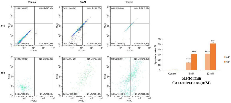 Metformin induces mitochondria-mediated and endoplasmic reticulum stress-mediated apoptosis and inhibits angiogenesis-related gene expression in breast cancer cells via targeting VEGF-A/VEGFR2/NRP1.