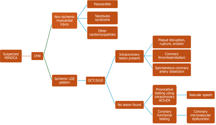 Myocardial ischemia in nonobstructive coronary arteries: A review of diagnostic dilemmas, current perspectives, and emerging therapeutic innovations.