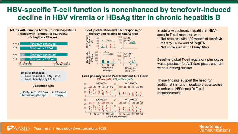 HBV-specific T-cell function is nonenhanced by tenofovir-induced decline in HBV viremia or HBsAg titer in chronic hepatitis B.