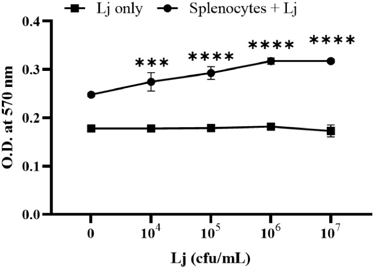 <i>Lactobacillus johnsonii</i> JERA01 upregulates the production of Th1 cytokines and modulates dendritic cells-mediated immune response.
