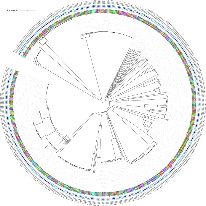 Whole genome sequence analysis reveals limited diversity among Clostridioides difficile ribotype 027 and 078 isolates collected in 22 hospitals in Berlin and Brandenburg, Germany.