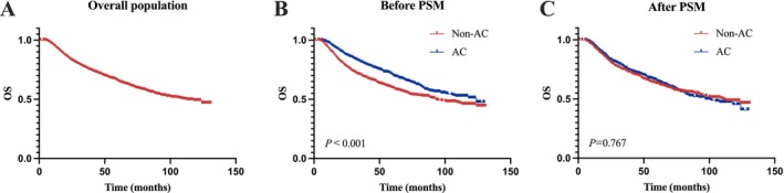 Adjuvant Chemotherapy May be Waived for Breast Cancer Nonresponders to Neoadjuvant Chemotherapy: A Population-Based Large Cohort Study.