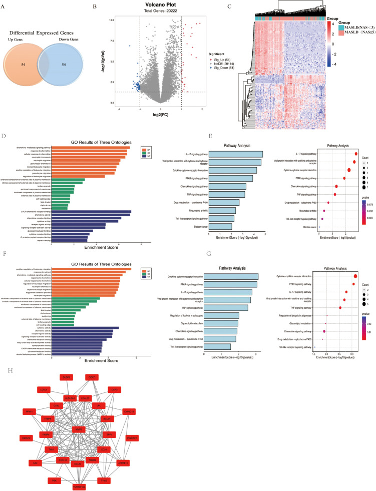 Identification of hub gene for the pathogenic mechanism and diagnosis of MASLD by enhanced bioinformatics analysis and machine learning.