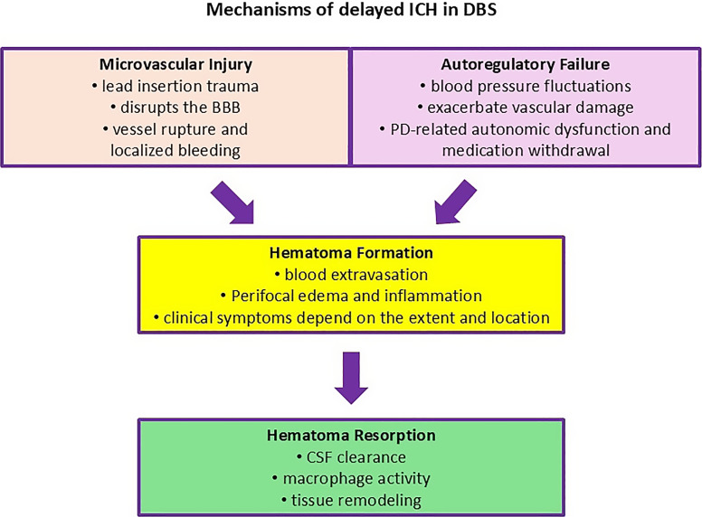 Delayed Intracerebral Hemorrhage after Deep Brain Stimulation for Parkinson's Disease.