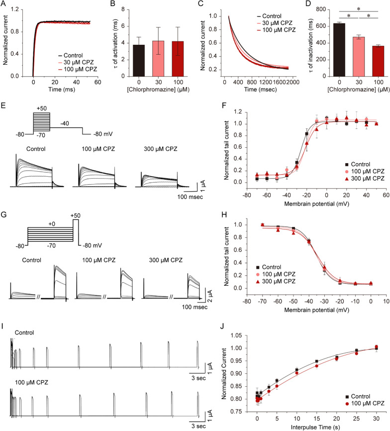 Chlorpromazine directly inhibits Kv1.3 channels by facilitating the inactivation of channels.