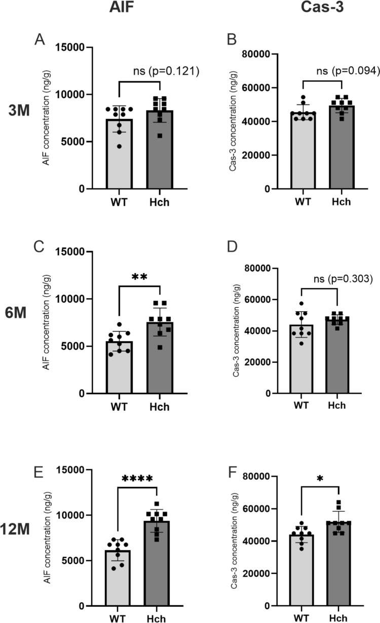 Hypercholesterolemia Duration and Brain Area Determine Inflammatory Response Intensity and Apoptotic Mediator Activation in Apo E<sup>-/-</sup>/LDLR<sup>-/-</sup> Double-Knockout Mice.