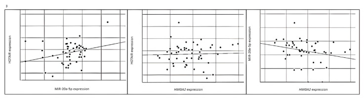 <i>HMGA2</i> associated ceRNA-HOTAIR pathway in breast cancer patients from clinicopathological perspective.