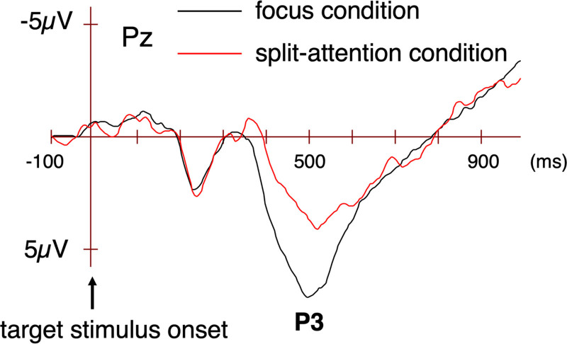 Stimulus-preceding negativity and P3 reflecting relative amounts of attention allocation between primary and secondary tasks.