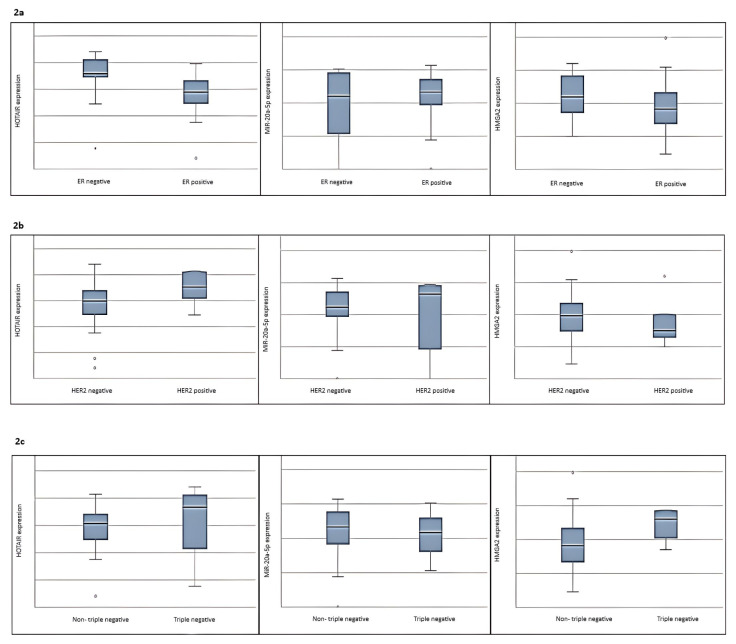 <i>HMGA2</i> associated ceRNA-HOTAIR pathway in breast cancer patients from clinicopathological perspective.