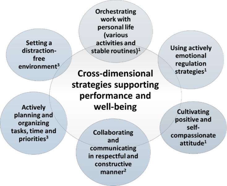 What strategies do people with borderline personality disorder use to maintain their well-being and performance at work?