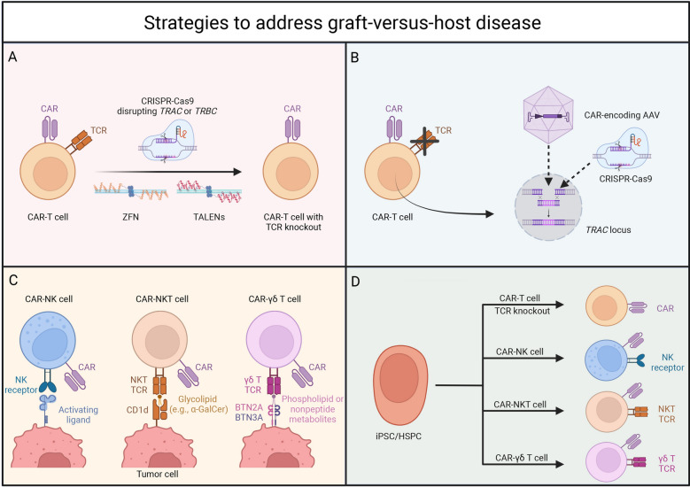 Addressing graft-versus-host disease in allogeneic cell-based immunotherapy for cancer.