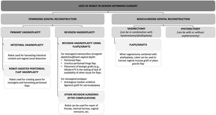 The role of the surgical robot in gender-affirming surgery: a scoping review.