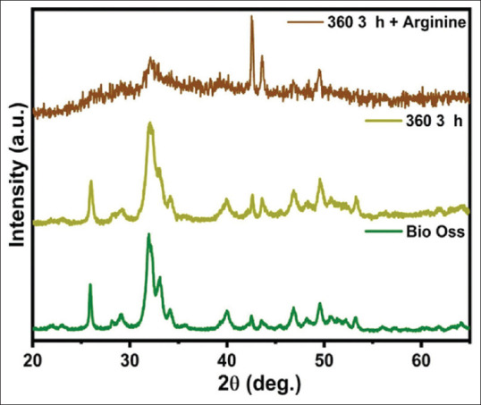 Influence of L-arginine on hydroxyapatite-based ovine bone graft - An <i>in vitro</i> evaluation of surface characteristics and cell viability.