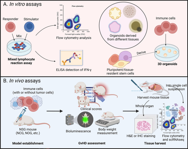 Addressing graft-versus-host disease in allogeneic cell-based immunotherapy for cancer.