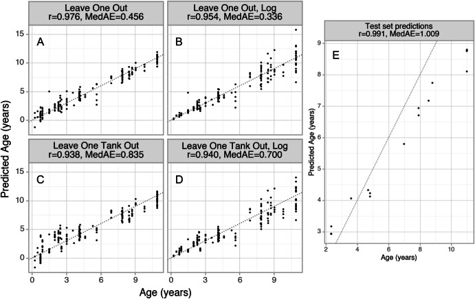 An epigenetic clock for Xenopus tropicalis.