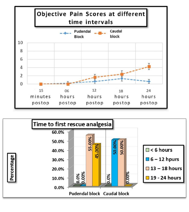 Optimizing Paediatric Hypospadias Surgical Repair: Pudendal Nerve Block Versus Caudal Block for Superior Analgesia.