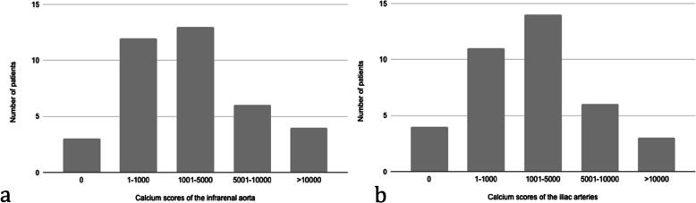 Assessment of aortic and iliac artery calcification using CT-angiography in kidney transplant candidates.