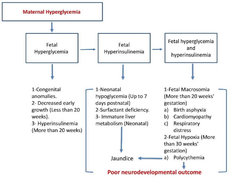 Diabetic pregnancy: A literature review of maternal and neonatal adverse outcomes.