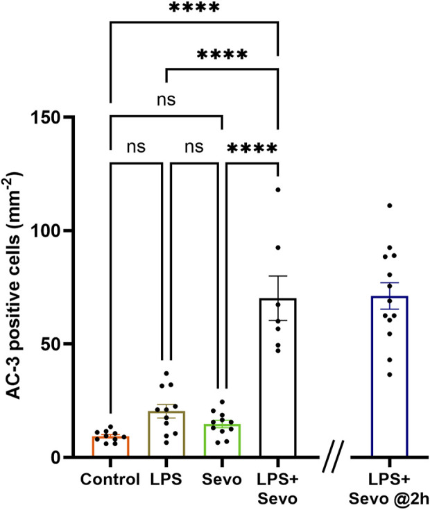 Anesthesia-induced developmental neurotoxicity in the setting of systemic inflammation: the role of microglia.