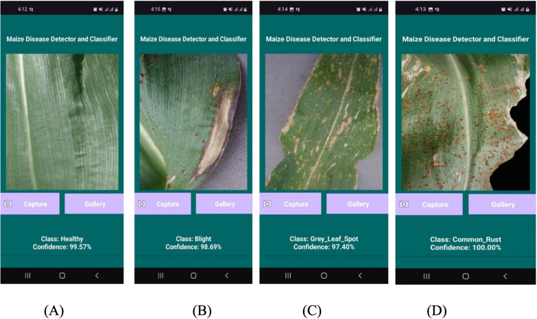 Mobile based deep CNN model for maize leaf disease detection and classification.