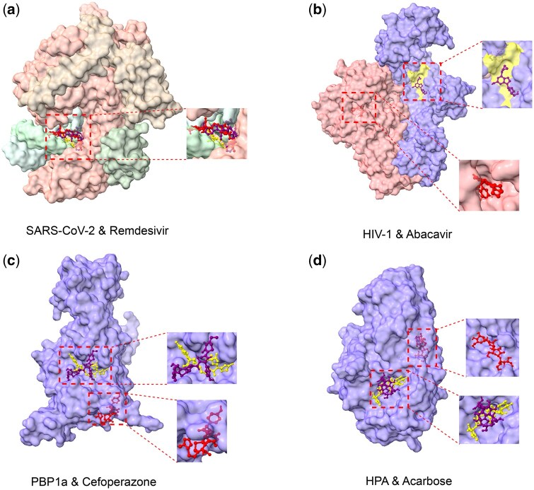 DrugPipe: Generative artificial intelligence-assisted virtual screening pipeline for generalizable and efficient drug repurposing.