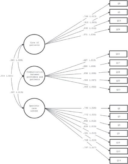 Validity and reliability of the Home Health Care Survey of the Consumer Assessment of Healthcare Providers and System (HHCAHPS) tool: a multicentre cross-sectional study.