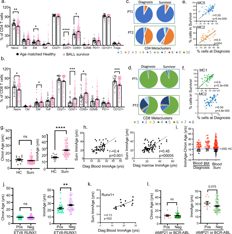 Immune-aging at diagnosis determines T-cell recovery in childhood leukemia survivors.