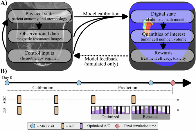 Personalizing neoadjuvant chemotherapy regimens for triple-negative breast cancer using a biology-based digital twin.