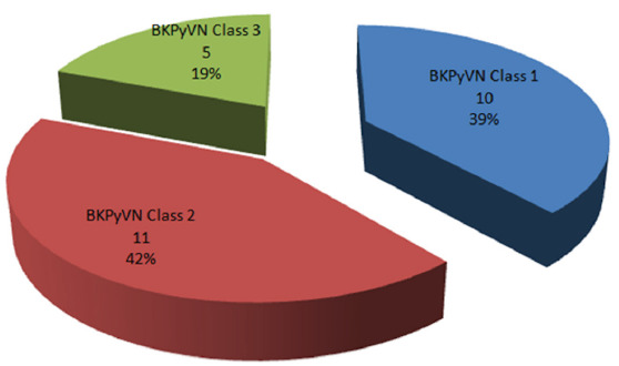 The Prevalence and Outcomes of BK Polyoma Virus Nephropathy in Living Donor Kidney Transplant Recipients.