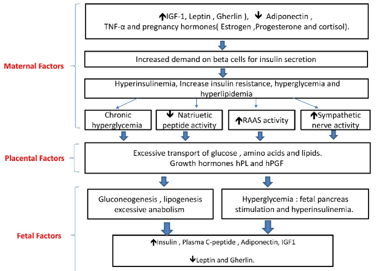 Diabetic pregnancy: A literature review of maternal and neonatal adverse outcomes.