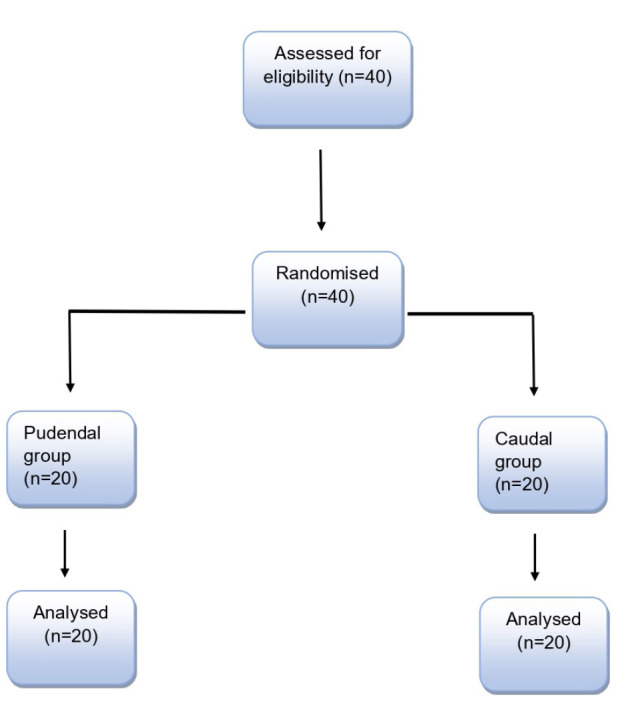 Optimizing Paediatric Hypospadias Surgical Repair: Pudendal Nerve Block Versus Caudal Block for Superior Analgesia.