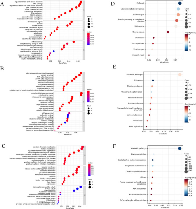 KLF12 as a potential biomarker for lateral pelvic lymph node metastases in advanced rectal cancer.
