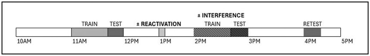 Reactivation fails to offer the improvement sleep does.