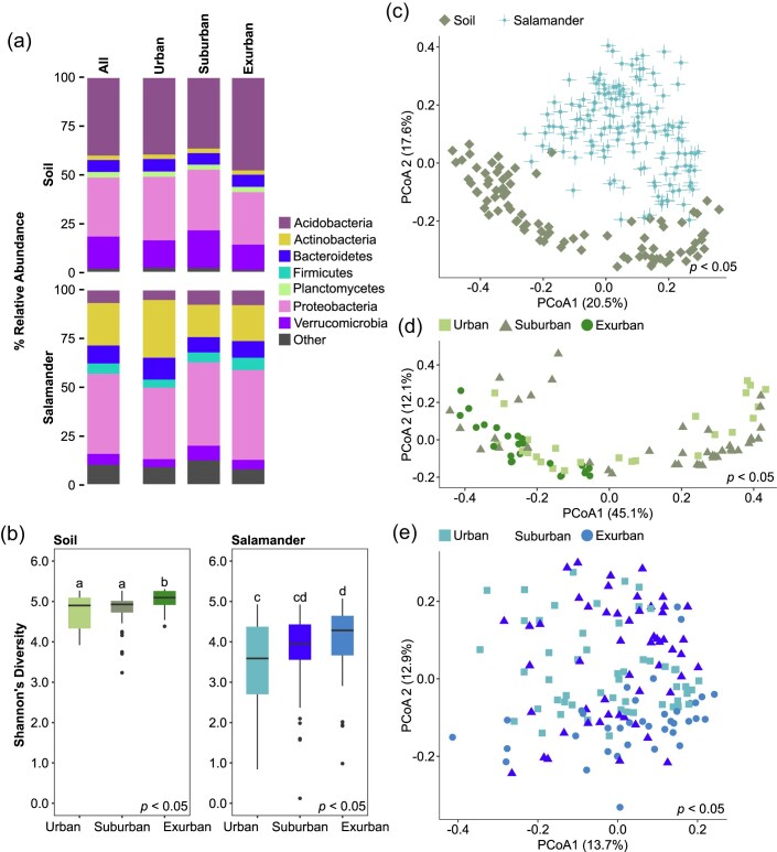 Reorganization of bacterial community network structure in the eastern redback salamander (Plethodon cinereus) and its soil reservoir across a gradient of land use.