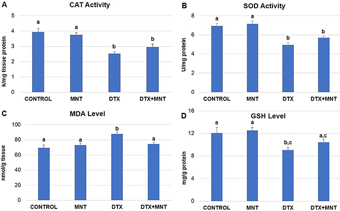Montelukast reduced docetaxel-induced peripheral neuropathy in rats by altering oxidative stress, histopathological damage, and gene expressions.