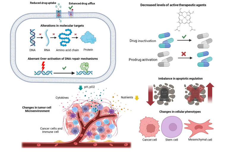 AI-Powered Insights into Drug Resistance in Gastric Cancer: A Path Toward Precision Therapy.