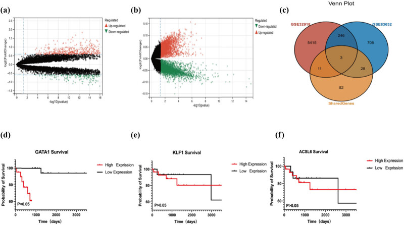 GATA1: A key biomarker for predicting the prognosis of patients with diffuse large B-cell lymphoma.