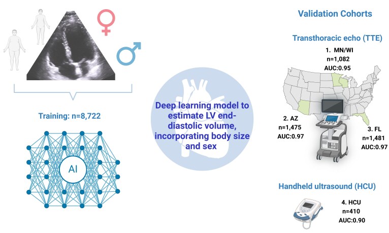 A deep learning model for classifying left ventricular enlargement for both transthoracic echocardiograms and handheld cardiac ultrasound.
