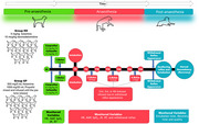 Clinical Comparison of Ketamine-Dexmedetomidine With Ketamine-Propofol During Canine Orchiectomy: A Randomized Study.