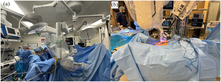 The role of the surgical robot in gender-affirming surgery: a scoping review.