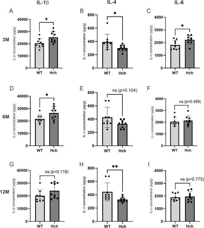 Hypercholesterolemia Duration and Brain Area Determine Inflammatory Response Intensity and Apoptotic Mediator Activation in Apo E<sup>-/-</sup>/LDLR<sup>-/-</sup> Double-Knockout Mice.