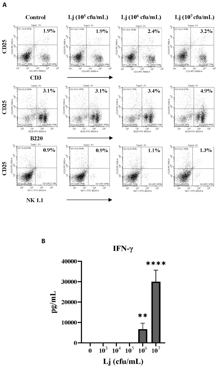 <i>Lactobacillus johnsonii</i> JERA01 upregulates the production of Th1 cytokines and modulates dendritic cells-mediated immune response.