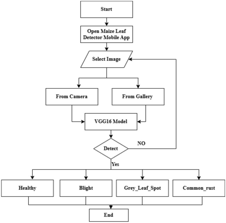 Mobile based deep CNN model for maize leaf disease detection and classification.