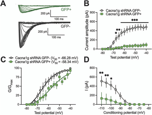 <i>In vivo</i> silencing of the thalamic Ca<sub>V</sub>3.1 voltage-gated calcium channels demonstrates their region-specific role in anesthetic mediated hypnosis.