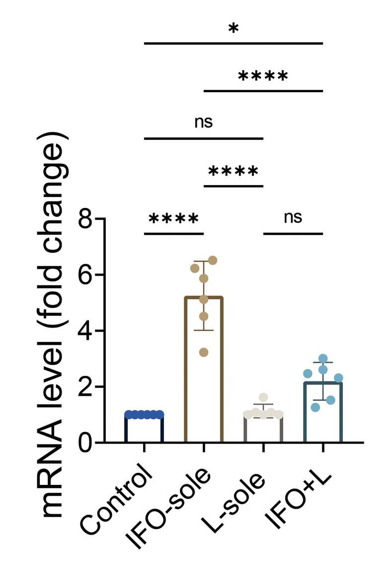Protective Effect of Lycopene on Ifosfamide-Induced Mitophagy through <i>Pink, Parkin,</i> and <i>LC3-I/II</i> Pathway in Testicular Tissue.