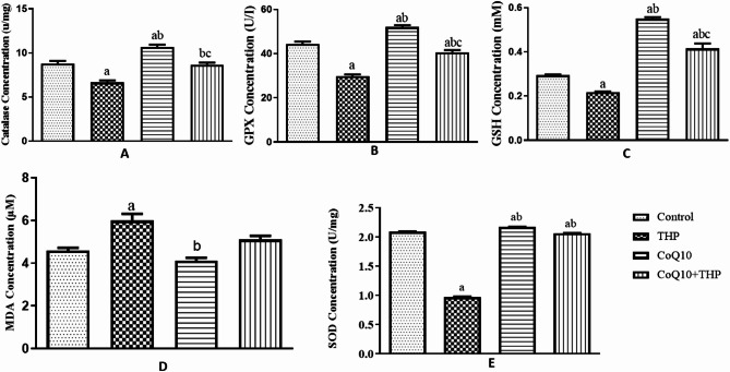 Protective role of coenzyme Q10 against trihexyphenidyl-induced pulmonary toxicity in Wistar rats.