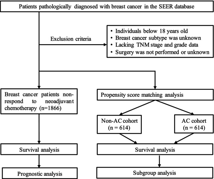Adjuvant Chemotherapy May be Waived for Breast Cancer Nonresponders to Neoadjuvant Chemotherapy: A Population-Based Large Cohort Study.