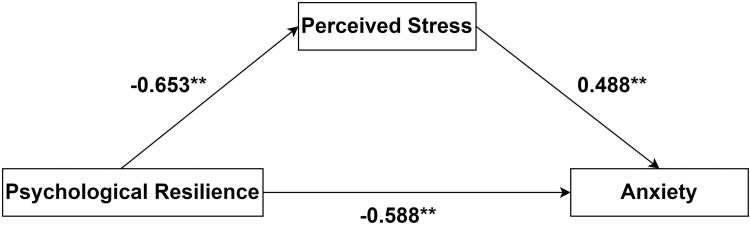 Evaluation of the Effect of Psychological Resilience on Anxiety in Patients with Diabetic Retinopathy Through the Mediating Effect of Perceived Stress: A Moderated Mediation Model.