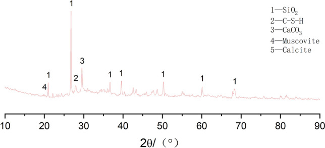 Mechanical properties and damage model of alkali activated polymer solidified soil containing coal gangue powder.