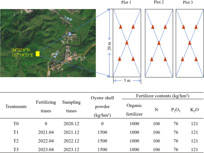 Effect of applying oyster shell powder on soil properties and microbial diversity in the acidified soils of pomelo garden.